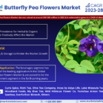 Forecasting the Butterfly Pea Flowers Market: Trends, Share, and Size for 2028