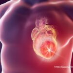 Cardiac Biomarkers Market