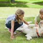 Discovering the Delight with Petting Farms