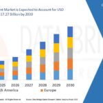 Digital Payment Market