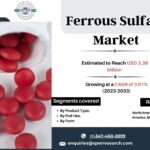 Ferrous Sulfate Market