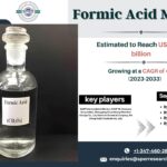 Formic Acid Market