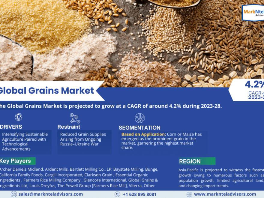 Grains Market