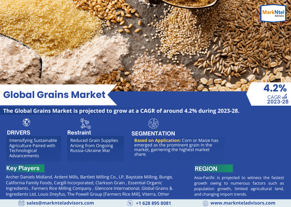 Grains Market