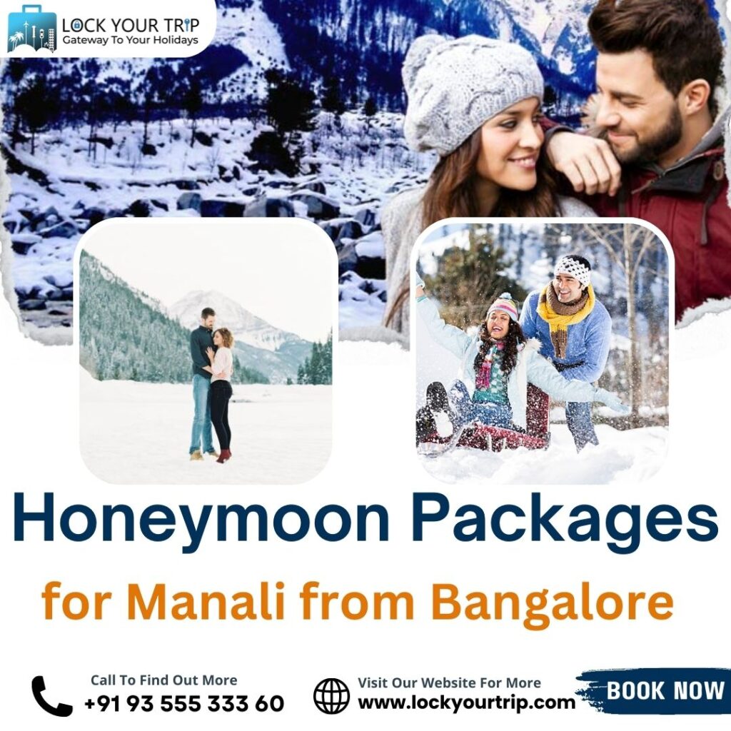 Manali local sightseeing package