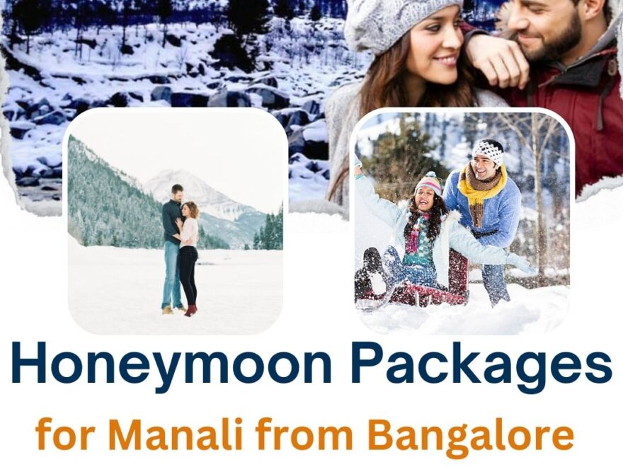 Manali local sightseeing package