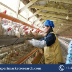 India Poultry Market