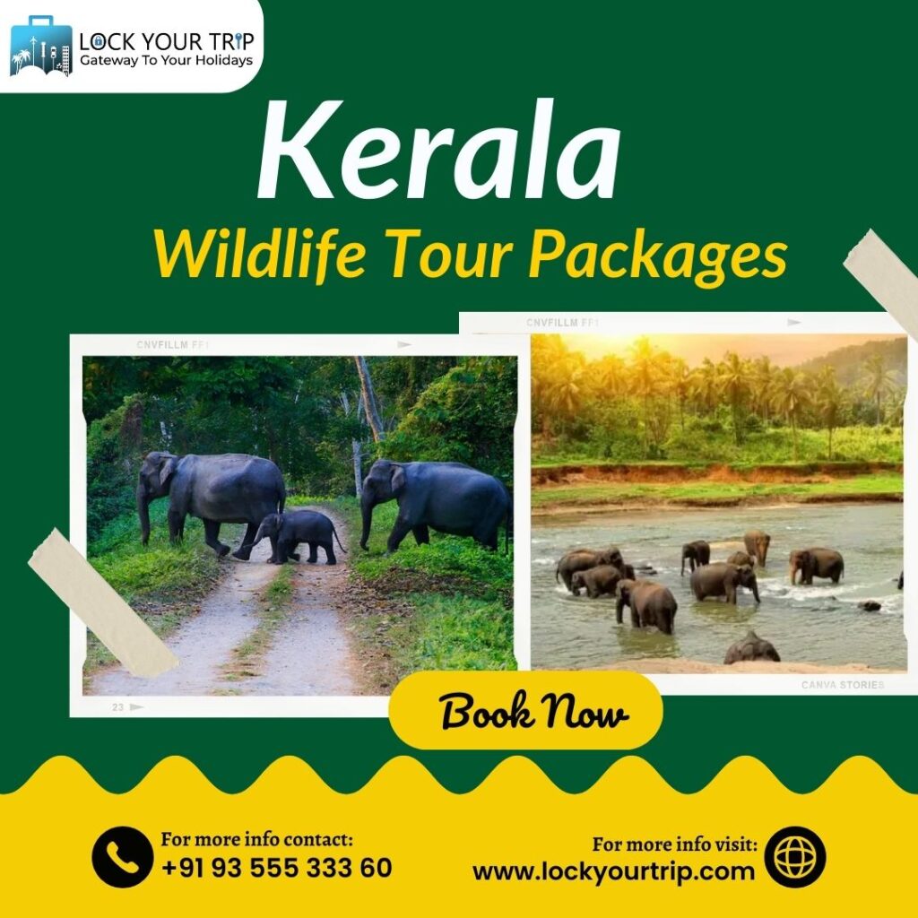 Discover the Natural Paradise with Kerala Wildlife Tour Packages