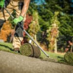 Gardening Company Worker Installing Fresh Natural Grass Turfs From Roll In Residential Garden.