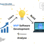 MVP Software Development