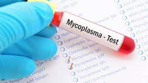 Mycoplasma Testing Market