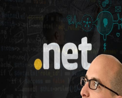 NET Developers in India