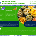 Forecasting the Natural Food Preservatives Market: Trends, Share, and Size for 2028