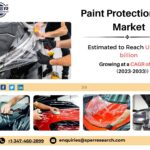 Paint Protection Film Market