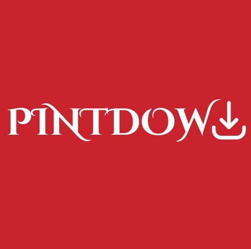 Pinterest story downloader