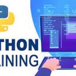 Python Training for Data Science: Bridging the Gap Between Theory and Practice