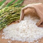 Detail Project Report: Setting up a Rice Processing Plant Edition 2023, Cost and Revenue