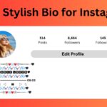 Stylish Bio For Instagram