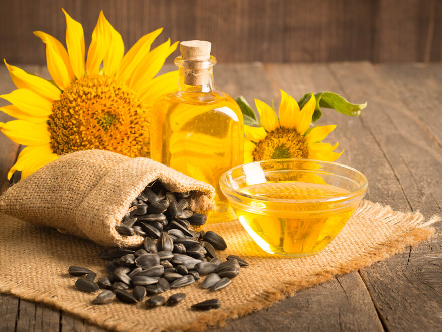 Unveiling the Excellence: A Deep Dive into Sunflower Oil Manufacturers