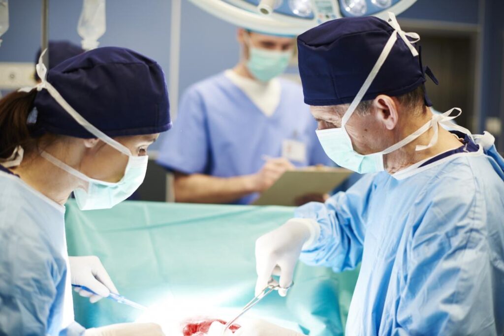 Transplantation Market Trends, Share, Size, Growth, and Forecast 2024-2032