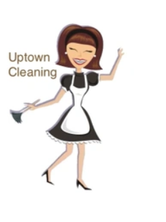 Professional-Cleaning- Services