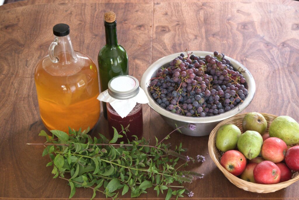 Vinegar Manufacturing Plant Project Report 2023: Industry Trends and Business Plan