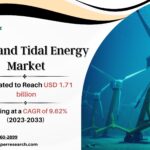 Wave and Tidal Energy Market