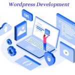 Advanced WordPress Development Techniques