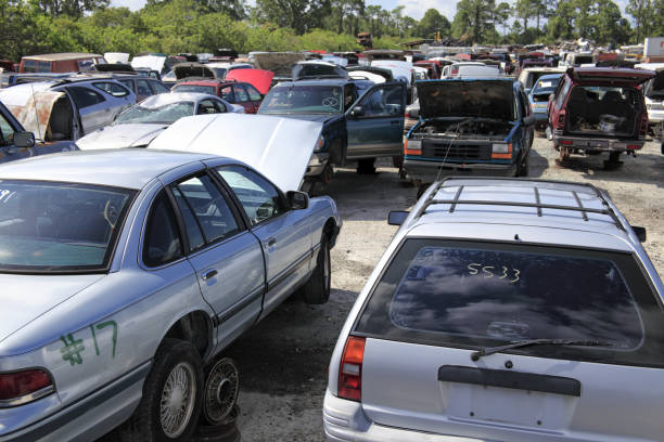 junk car removal south auckland