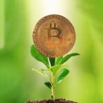 Eco-Crypto Revolution: Pioneering Sustainable Mining Practices for a Greener Tomorrow