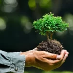 How to Utilize Soil Remediation in NJ for Environmental Protection