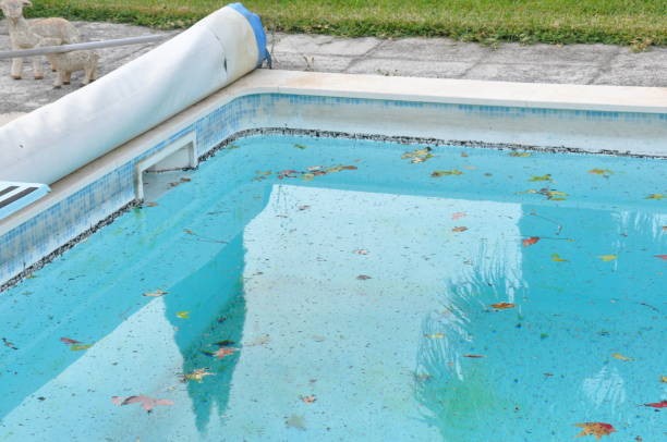 Fiberglass pool companies in Columbia Alabama