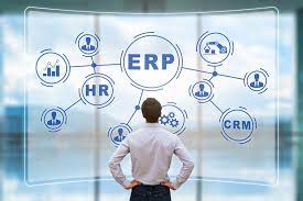 Synchronizing Triumph: ERP and HRMS as Business Maestros