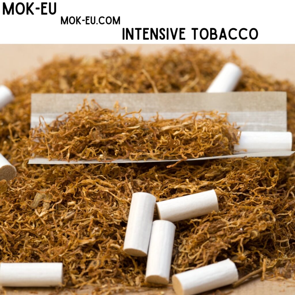 Breathe Bold, Live Intensive: Unveiling the All-New Intensive Tobacco Experience