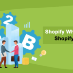 Shopify B2B Wholesale Services