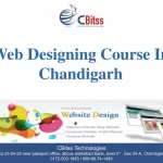 Web Designing Training in Chandigarh