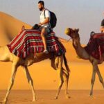 Unveiling Arabian Splendor: Desert Safari Adventures and City Tours in Sharjah