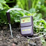 Testing Your Soil pH and Balancing Fertility for a Veggie Bed 