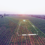 THE TRANSFORMATIVE IMPACT OF DRONES IN INDIAN AGRICULTURE INTRODUCTION