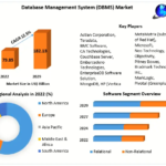 Database Management System (DBMS) Market Overview, Key Players, Segmentation Analysis, Development Status and Forecast by 2029