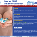 EZH2 Inhibitors Market Scope, Size, Share, Growth Opportunities and Future Strategies 2030: Markntel Advisors