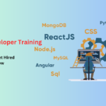 Full Stack Developer Training