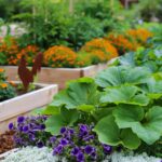 Designing an Efficient Herb Garden in Small Spaces