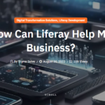 How Can Liferay Help My Business