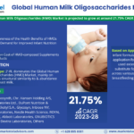 Forecasting the Human Milk Oligosaccharides (HMO) Market: Trends, Share, and Size for 2028