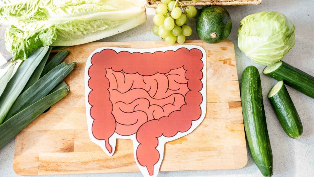 IBS Subtypes and Symptoms