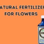 Natural Fertilizer For Flowers