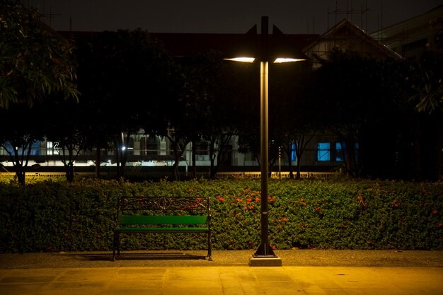 Explore the differences between line and low-voltage landscape lighting. Find the ideal solution for your landscape light installation services in Rosenberg.