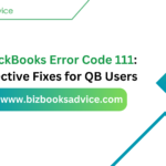 QuickBooks Error Code 111