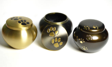 pet cremation singapore